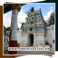 Temple celebrations and pooja rituals at Thiru Nandhipura Vinnagaram