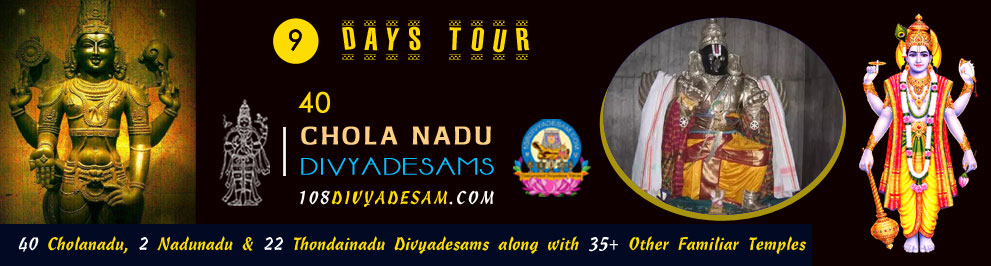 Senior-Friendly Chola Nadu Divyadesams Darshan with Assisted Travel