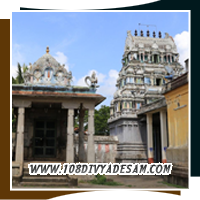 Madhava Perumal Temple Thiruthevanarthogai Tourism Guide