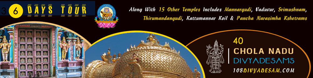 Chola Nadu Divyadesams Heritage Pilgrimage Tours Tailored for Seniors