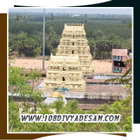 Sri Devanatha Swamy standing posture sanctum sanctorum Thiruvaheendrapuram