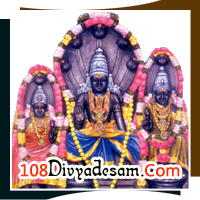 Thirunageswaram Naganatha Swamy Temple Raghu Bhagwan Rahu Dosha Relief North Lunar Node