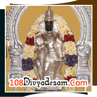 Thirunarayur Ramanatha Swamy Temple Nachiyar Koil Saneeswara Bhagwan Blessing with Family