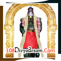 Vaitheeswaran Koil Vaidhyanatha Swamy Temple Sevvai Bhagwan Mars Disease Relief Mangalya Dosha