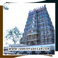 Utsavar Sundararajan with Utsava Thayar procession festival Thirumaliruncholai