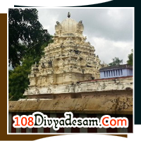 South Tamil Nadu Temple Pilgrimage – Customized Divyadesams and Nava Kailayam Yatra