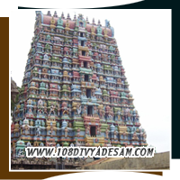 Sri Vaikunta Natha Perumal standing deity with Adisesha at Srivaikuntam Divyadesam