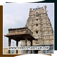 Thirunindravur Divyadesam Ancient Vishnu Temple Near Chennai