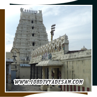 Baktharaavi Perumal Temple Thirunindravur Divyadesam Tourism